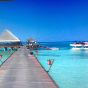 Meet your Posher, Meredith